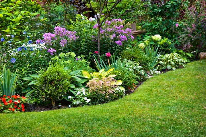 How Mulch Installation Can Help Your Landscaping