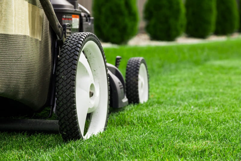 The Benefits Of Hiring A Professional Lawn Mowing Service