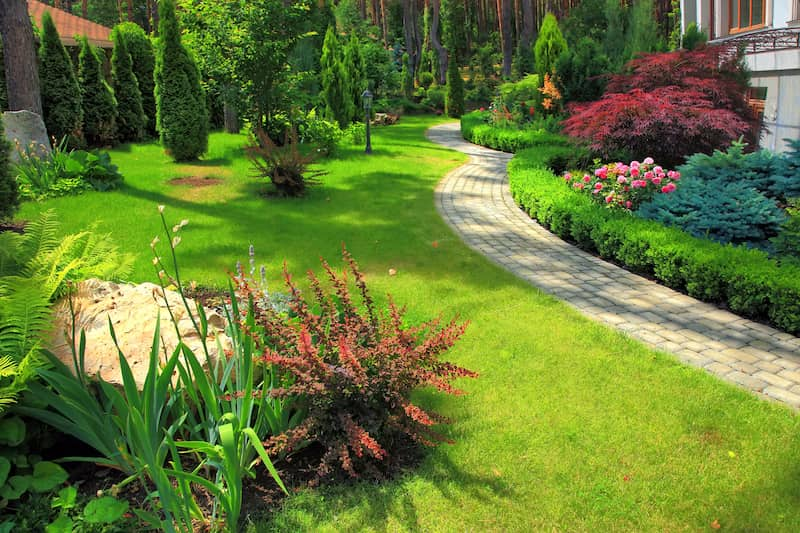 Landscape Design