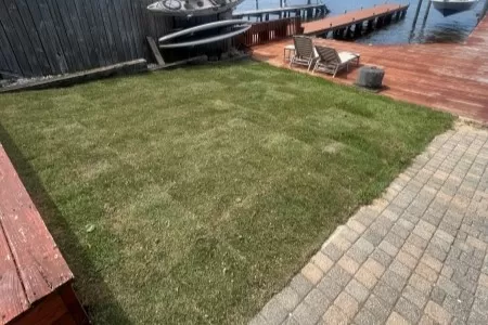 Sod Installation